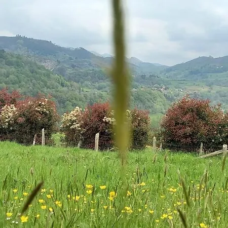 Casa Rural Las Fuentes Onís