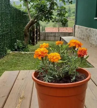 Casa Rural Las Fuentes * Onís
